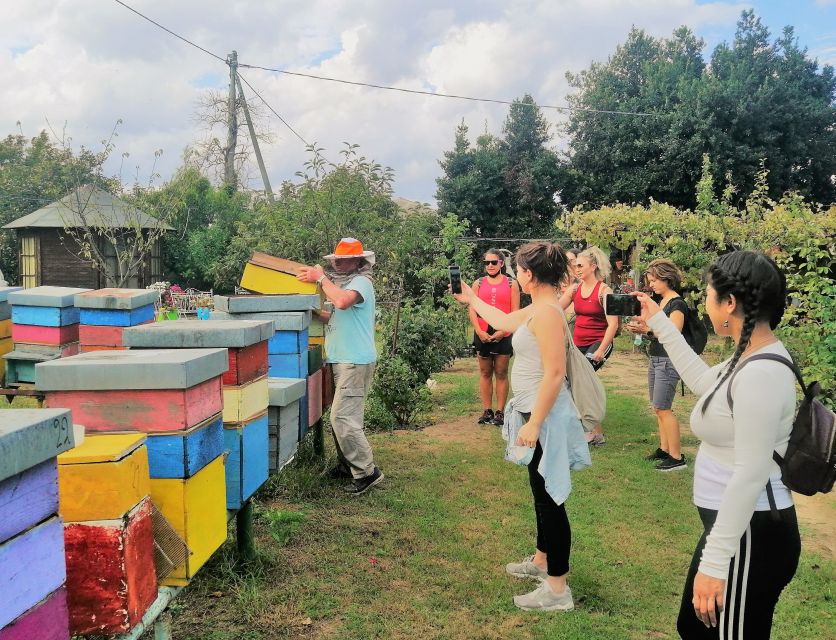Venice: Bike Tour Honey & artichockes on Sant’Erasmo Island - From Fondamente Nove to the lagoon bike launch