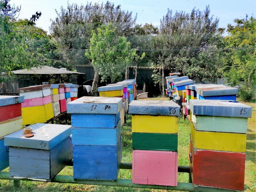 Venice: Bike Tour Honey & artichockes on Sant’Erasmo Island - The bee farm and lagoon honey tasting