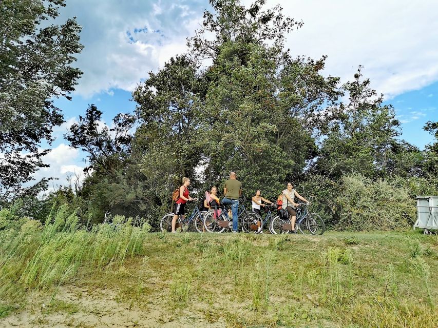 Venice: Bike Tour Honey & artichockes on Sant’Erasmo Island - How this tour balances rural life with Venice’s big views