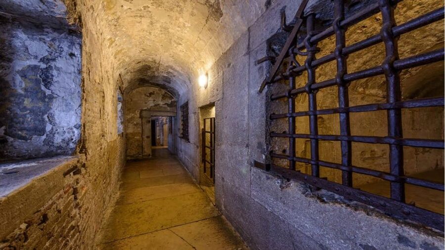 Venice: Doge's Palace Skip-the-Line Guided Tour - Key highlights you actually care about