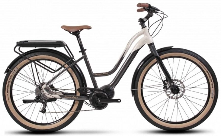Venice E-bike Rental - Where You Start: Venice Scooter Rental setup and what you get