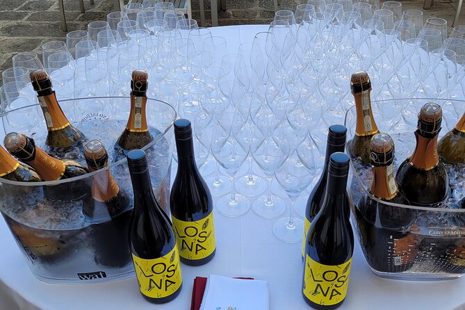 Venice like a local: Vini and Cichetti at Liuba and Hugo's home - Logistics that matter: meeting point, timing, and the walkup reality