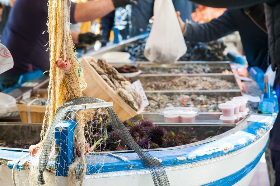 Venice: Market Tour and Meal at a Local's Home - Four Courses at an Authentic Italian Table