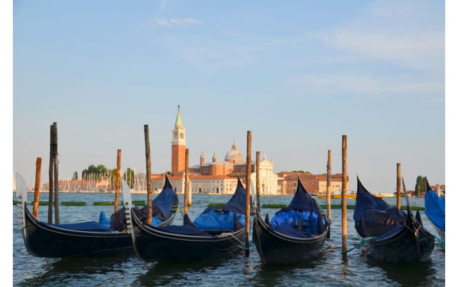Venice: Morning Walking Tour with Local Guide - St Mark’s Square Start, Then the Quiet Streets Take Over