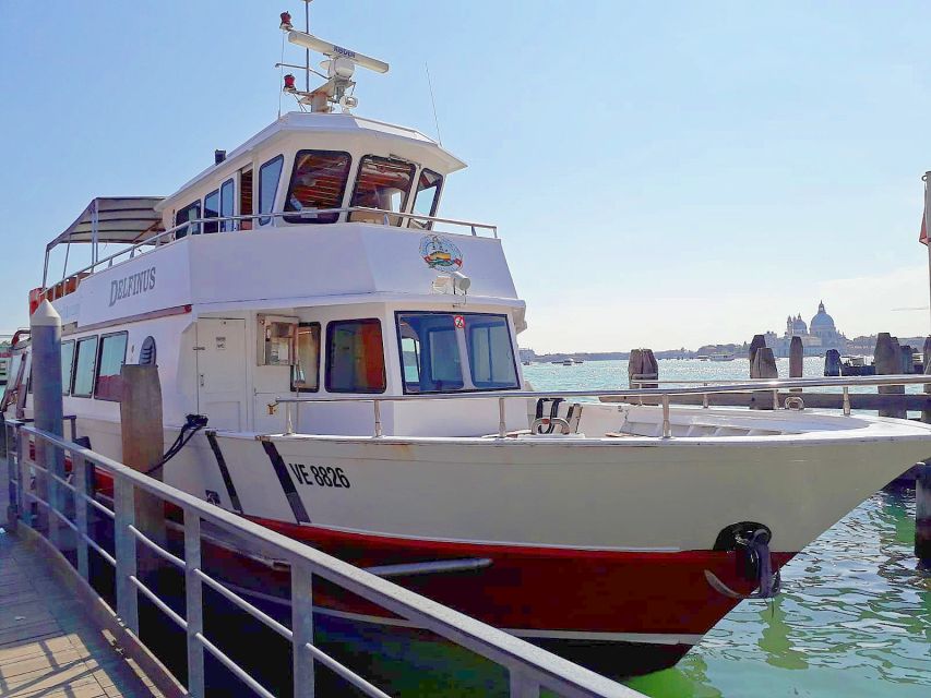Venice: Murano & Burano Panoramic Boat Tour w/ Glassblowing - The panoramic ride: comfort, views, and multilingual narration