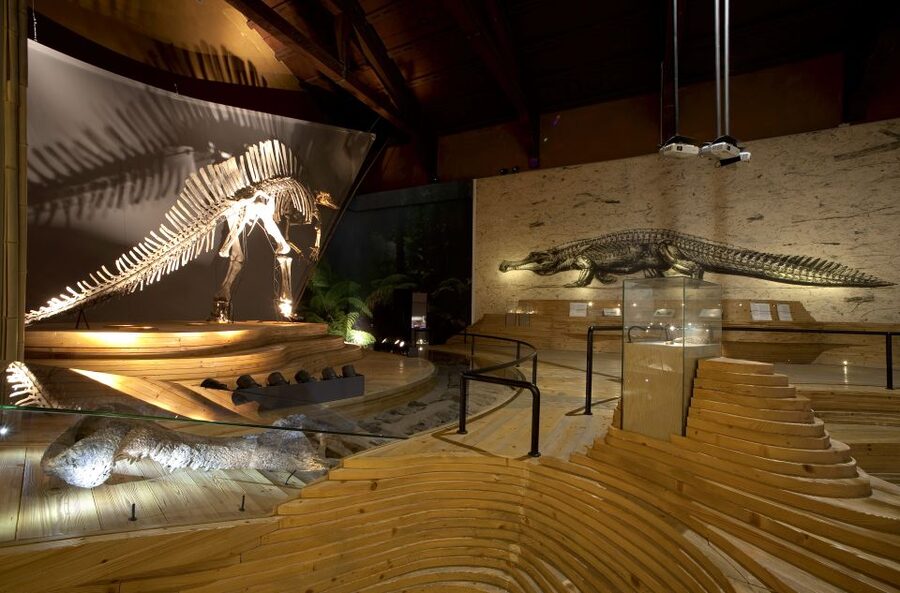Venice: Natural History Museum Entry Ticket - The dinosaur rooms: Ouranosaurus and prehistoric crocodiles upstairs