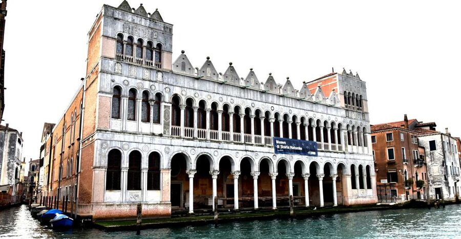 Venice: Natural History Museum Entry Ticket - The library with 40,000+ books and the calm pauses that prevent museum fatigue