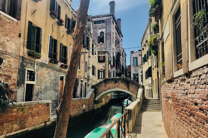 Venice Off the Beaten Path: Private Tour in Venice with a Local - Why Dorsoduro Makes This Tour Feel Like Real Venice