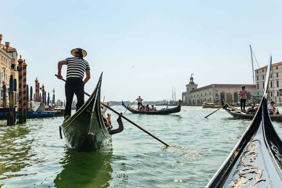 Venice: Private Gondola Ride along Grand Canal - The Grand Canal Segment: Fenice, Santa Maria della Salute, and Dogana Views