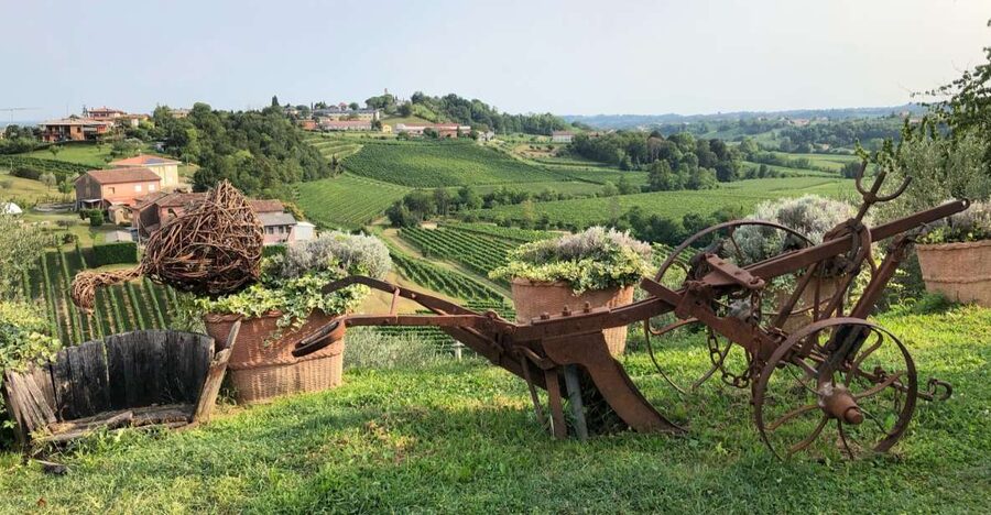 Venice: Prosecco Hills Wineries Tour with Tastings and Lunch - Why the Prosecco Hills feel like a real break from Venice