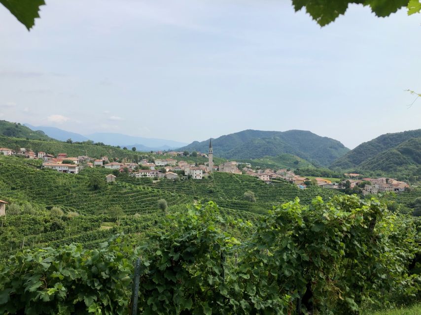 Venice: Prosecco Hills Wineries Tour with Tastings and Lunch - Stop one in the morning: scenic winery visit and four Prosecco tastings
