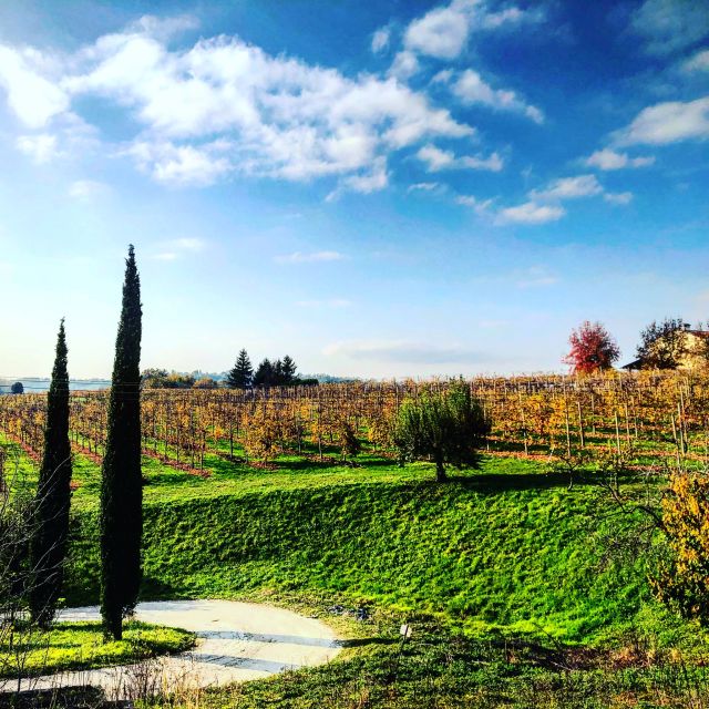 Venice: Prosecco Hills Wineries Tour with Tastings and Lunch - Aperitivo and a family Osteria lunch: spiedo by the fire
