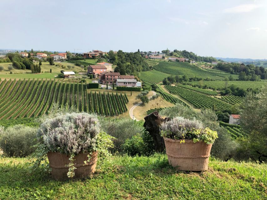Venice: Prosecco Hills Wineries Tour with Tastings and Lunch - Stop two in the afternoon: DOCG Prosecco and ancient vines