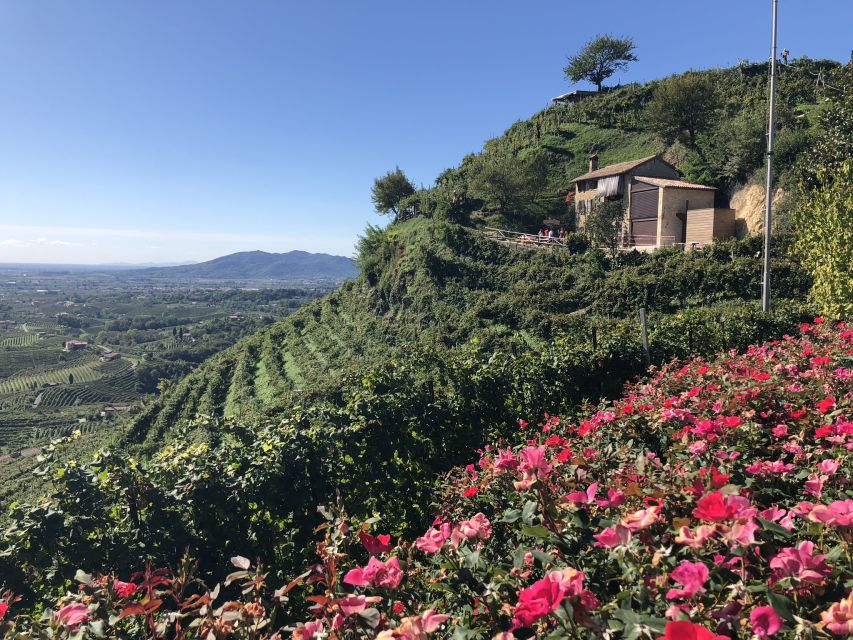 Venice: Prosecco Hills Wineries Tour with Tastings and Lunch - Price and value: what $202.78 buys in a small group day
