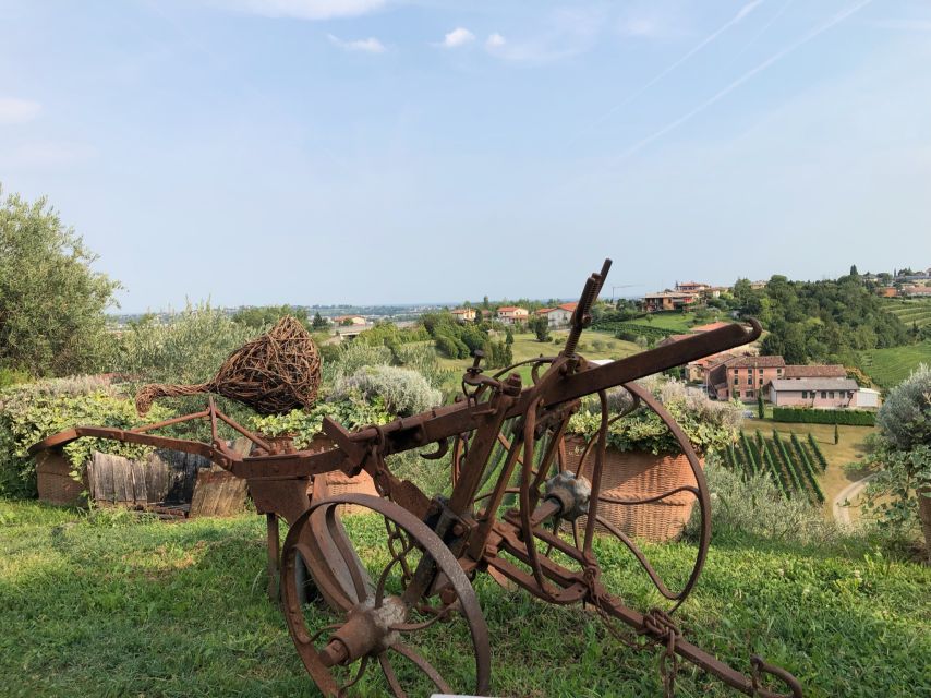 Venice: Prosecco Hills Wineries Tour with Tastings and Lunch - Who should book this Prosecco Hills tour