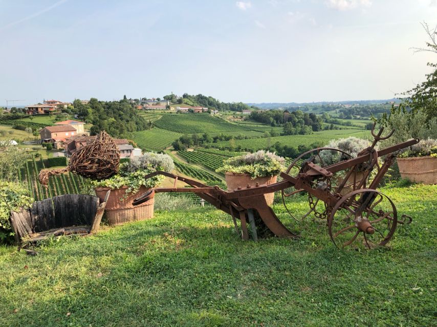 Venice: Prosecco Hills Wineries Tour with Tastings and Lunch - Getting to Conegliano: the train schedule that shapes your day