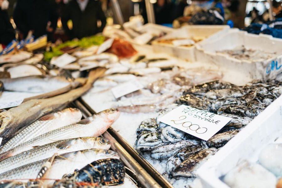 Venice: Rialto Market Tour, Cooking Class, and Lunch - Who this tour suits best