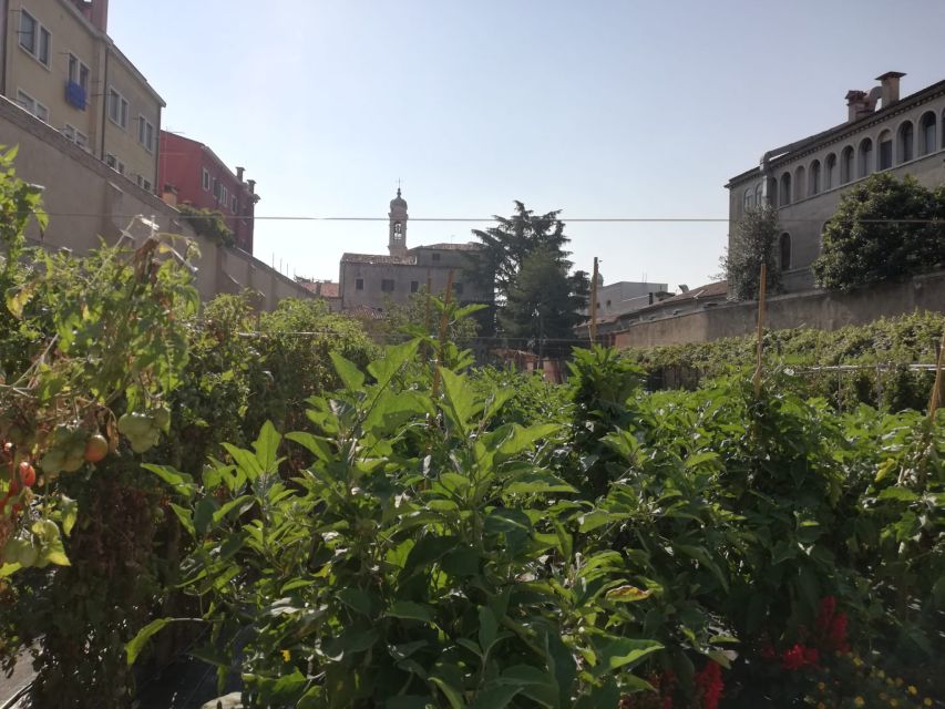 Venice: Secret City Gardens Walking Tour - A Different Venice: Scented Gardens Behind Palace Walls