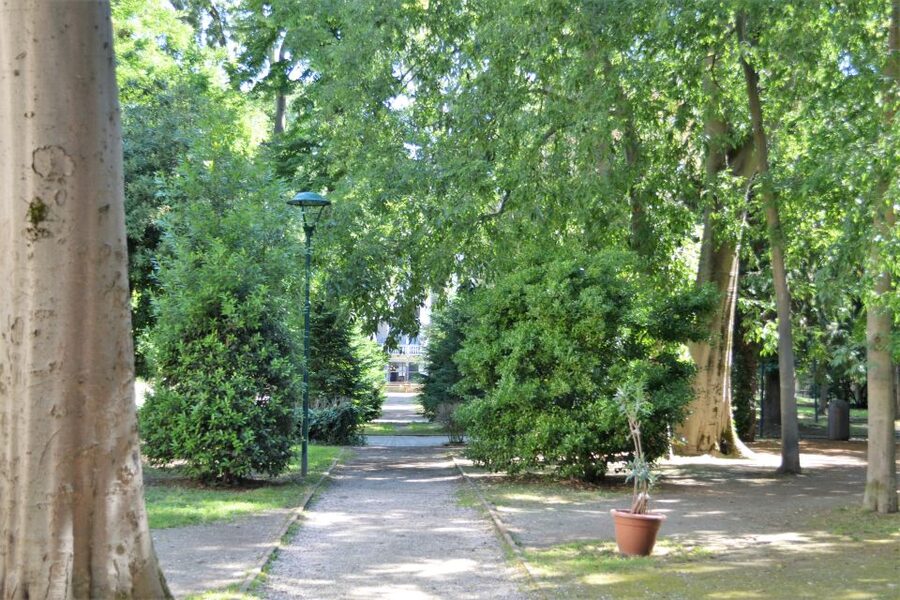 Venice: Secret City Gardens Walking Tour - Lagoon Views From a Terrace Run by Nuns