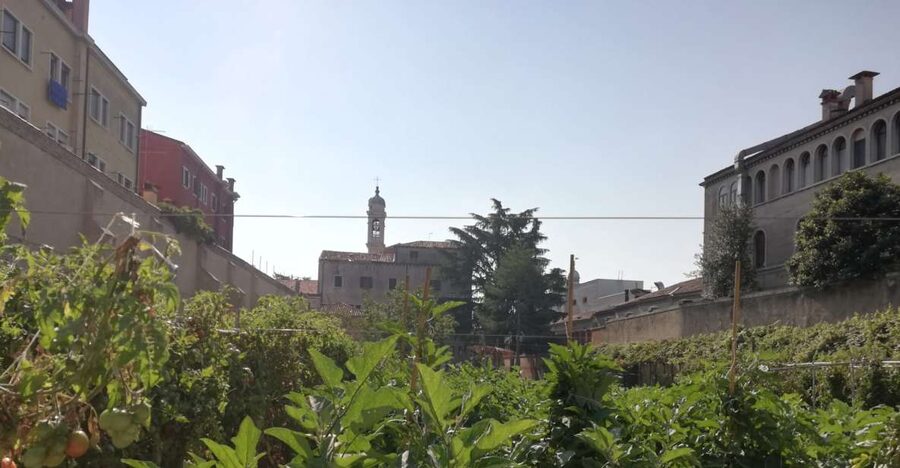 Venice: Secret City Gardens Walking Tour - Where You Start, What You Walk, and How Long It Takes