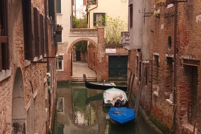 Venice Small Group Walking Tour of Most-Famous Sites &Attractions - The Venice Day-Visitor €5 Access Fee: Don’t Get Surprised