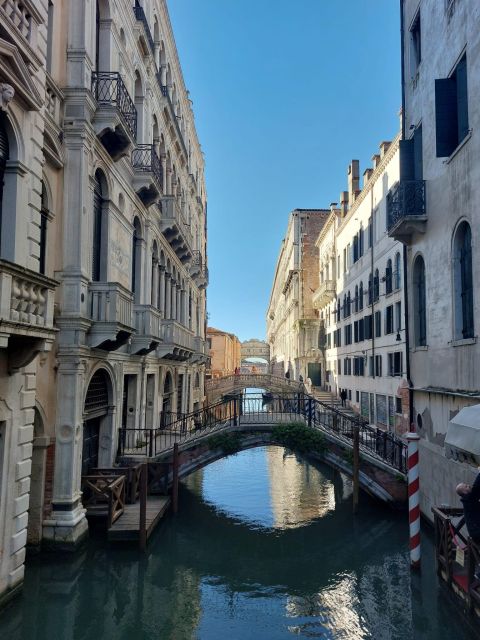 Venice: St. Mark's Basilica Tour with Doge's Palace Option - Who This Tour Fits Best in Your Venice Plans