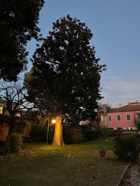 Venice: Sunrise Walking Tour with Espresso - Price and value: what you’re paying for