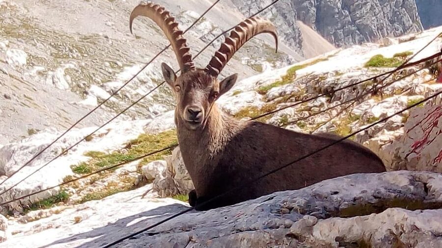 VENICE : Tour of Dolomites Unesco - Five Towers of Cortina Valley (Cinque Torri), chairlift optional plus high refuge stops