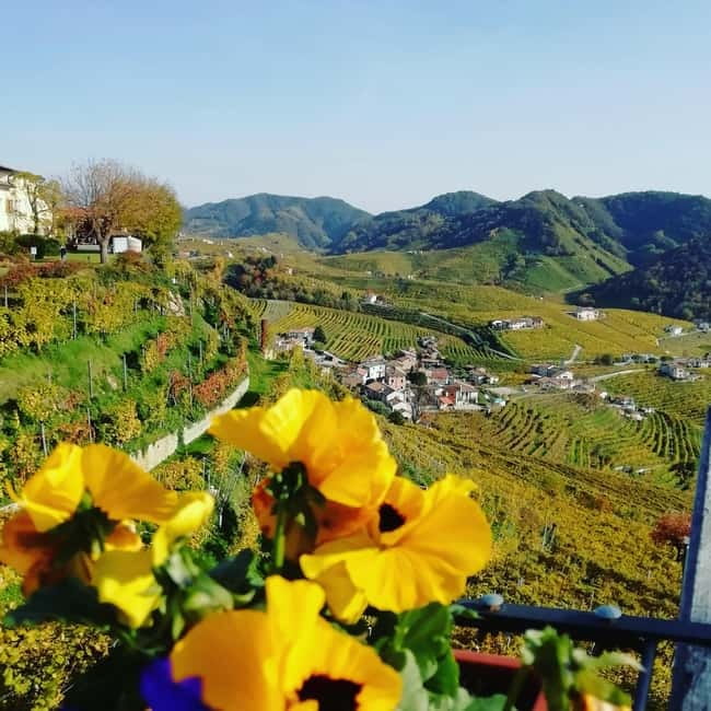 Venice: wine tour tasting along the Unesco Prosecco hills - From Venice to UNESCO hills: why this day trip feels special