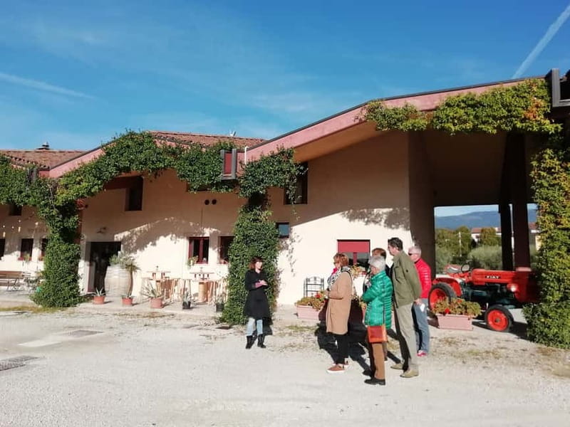 Venice: wine tour tasting along the Unesco Prosecco hills - Timing in a 7-hour day: what fits and what doesn’t