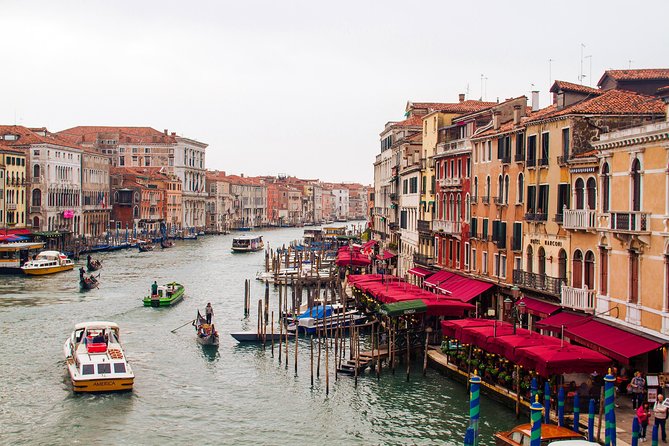 Welcome to Venice Group Tour St. Mark's Basilica & Gondola Ride - Libreria Acqua Alta: books, cats, and a very Venetian sense of humor